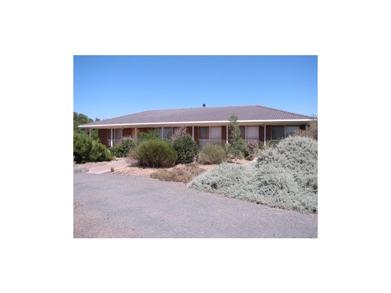 17 Glynn Street, Riverton SA 5412