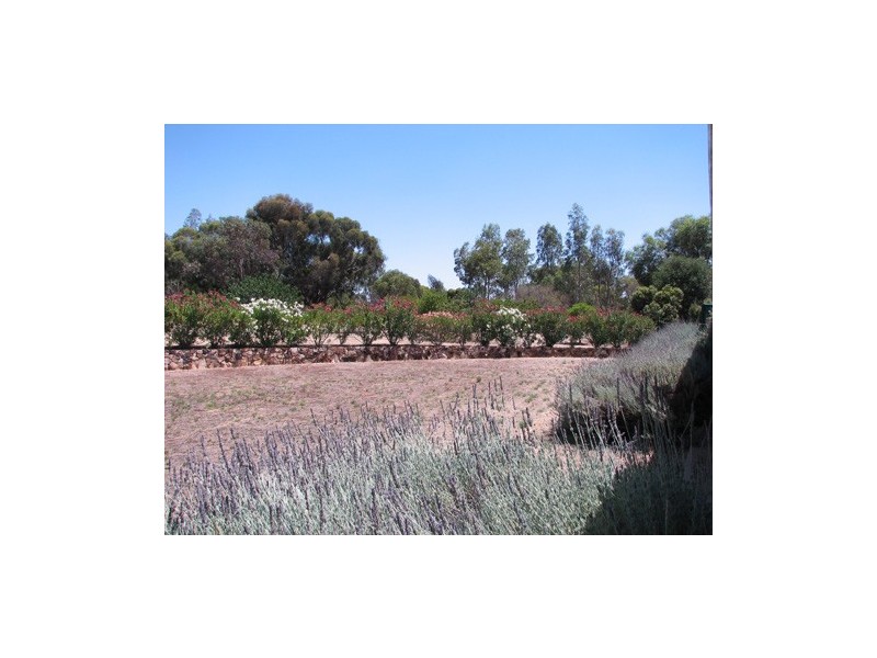 17 Glynn Street, Riverton SA 5412