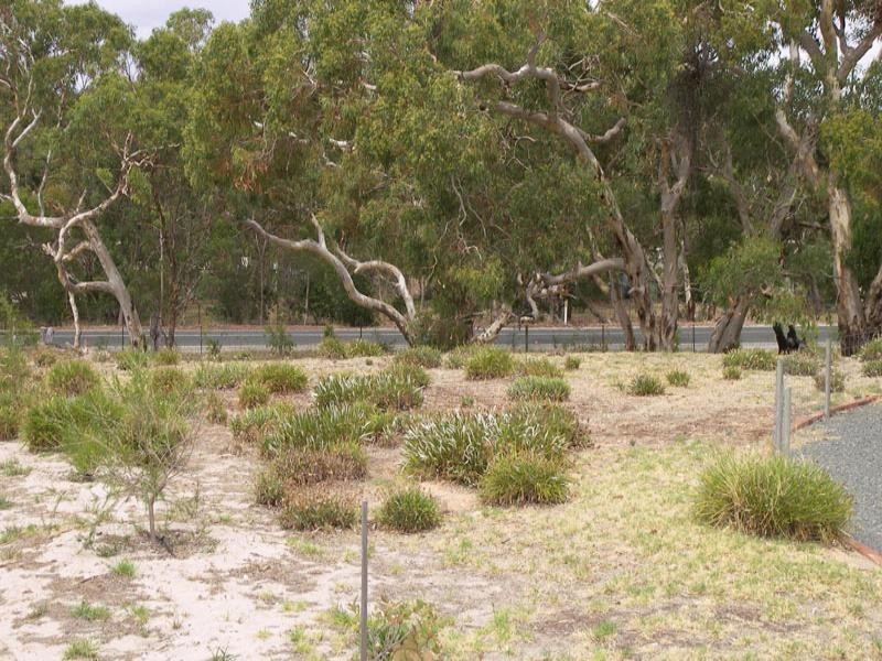 Lot 64 Blue Gum Court, Cockatoo Valley SA 5351