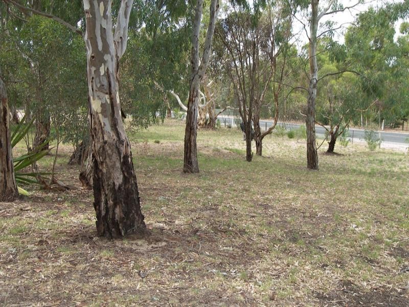 Lot 64 Blue Gum Court, Cockatoo Valley SA 5351