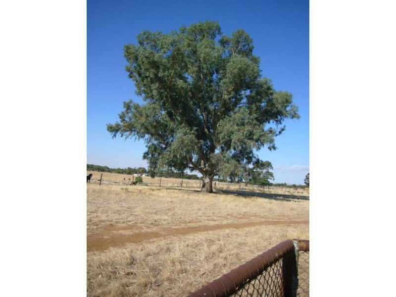 Lot 15 Hillier Road, Hillier SA 5116