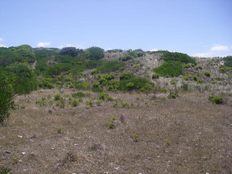 Lot 7 Paradise Road, Port Macdonnell SA 5291