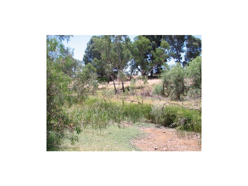 Lot 1 Rosedale Road, Rosedale SA 5350
