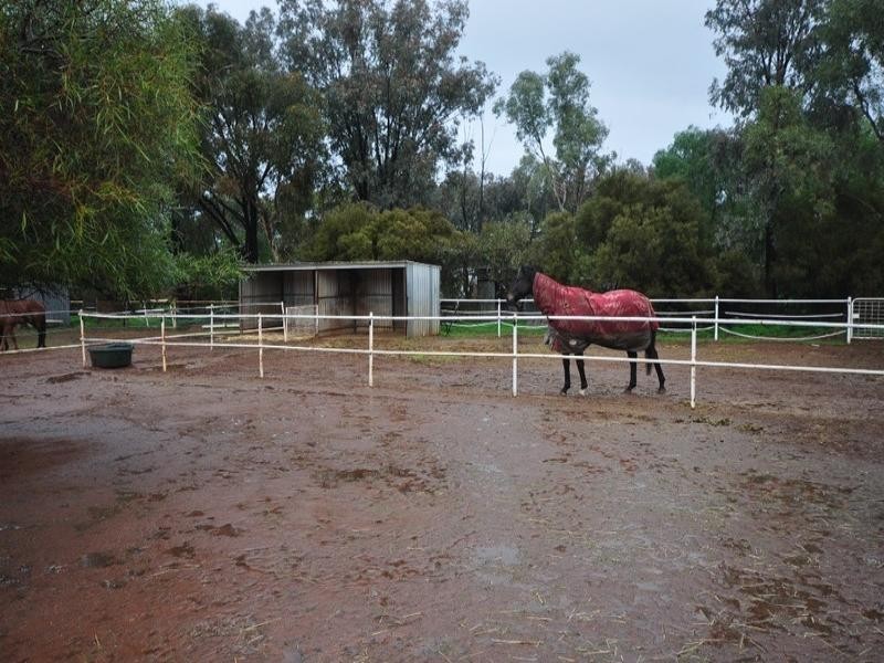 257 Hayman Road, Lewiston SA 5501