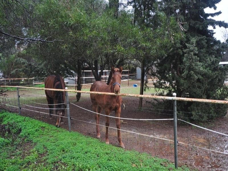 257 Hayman Road, Lewiston SA 5501