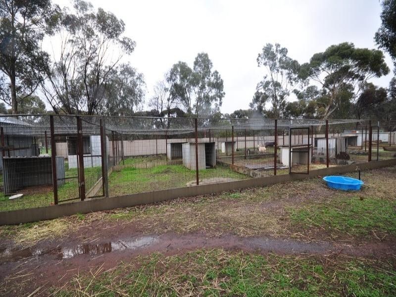 257 Hayman Road, Lewiston SA 5501