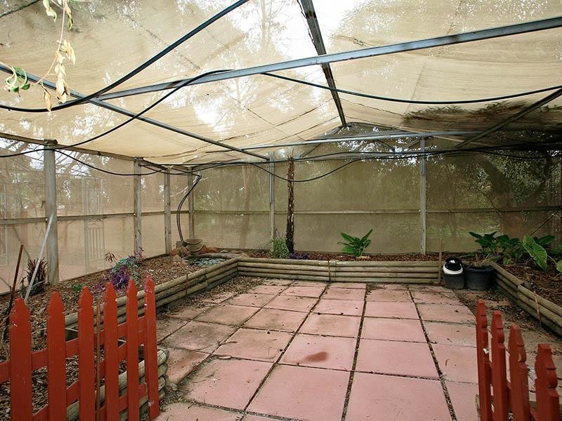 17 Fiddlewood Drive, Freeling SA 5372