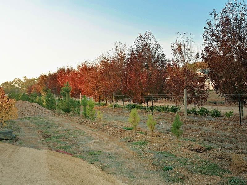 52 Meadow Road, Kalbeeba SA 5118