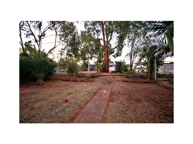 25 Peake Street, Freeling SA 5372