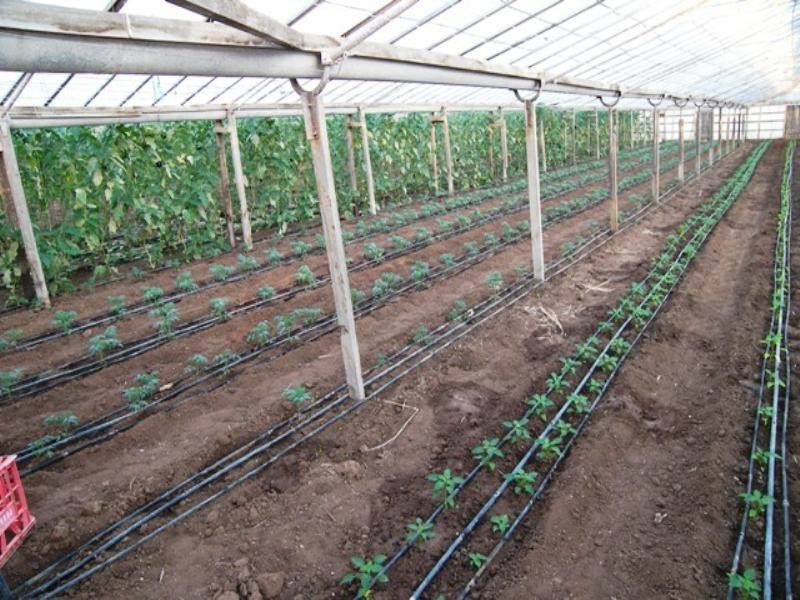 18 Gawler River Road, Lewiston SA 5501