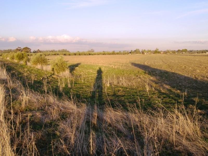 18 Gawler River Road, Lewiston SA 5501