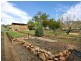 21 Walter Grove, Gawler East SA 5118