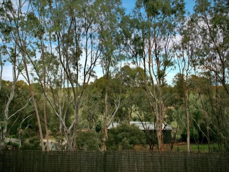 12 Berrett Road, Gawler East SA 5118