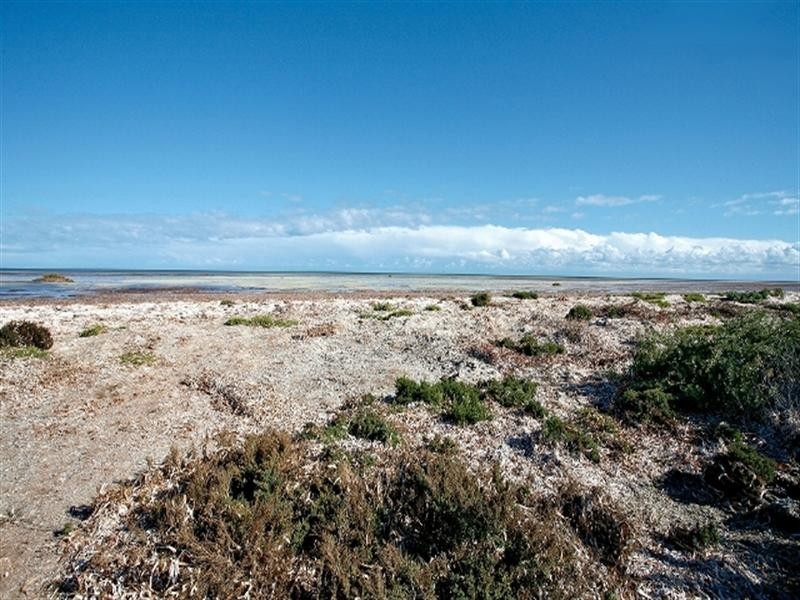 34 Sandpiper Drive, Thompson Beach SA 5501