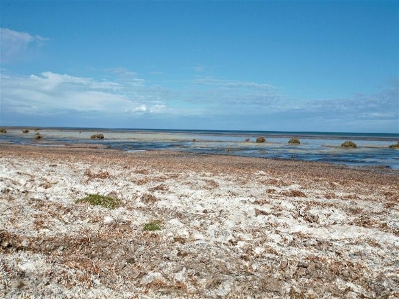 34 Sandpiper Drive, Thompson Beach SA 5501