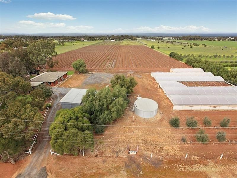 18 Broadacres Drive, Penfield Gardens SA 5121