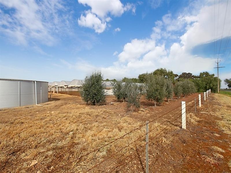 18 Broadacres Drive, Penfield Gardens SA 5121