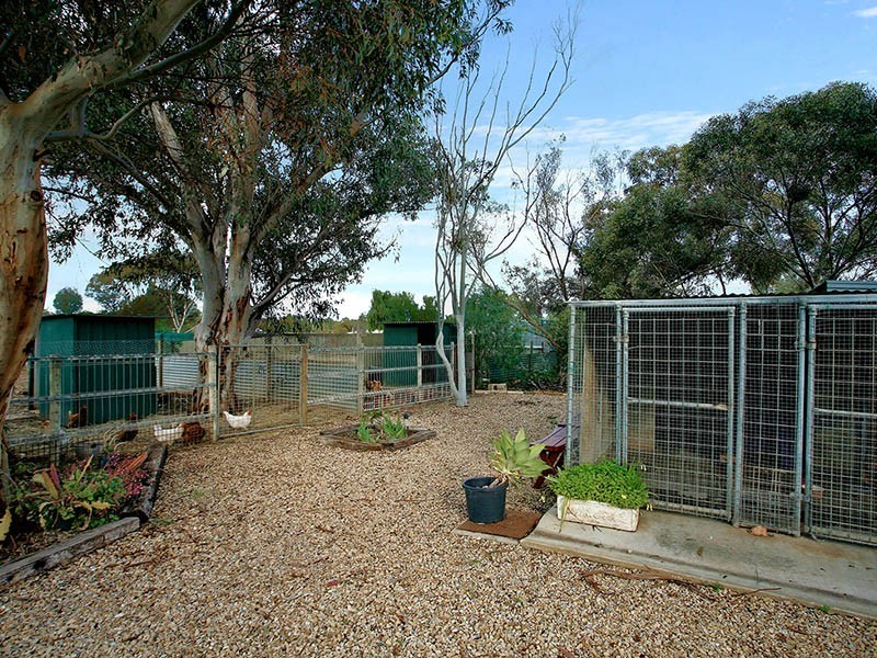 12 Dawkins Road, Two Wells SA 5501