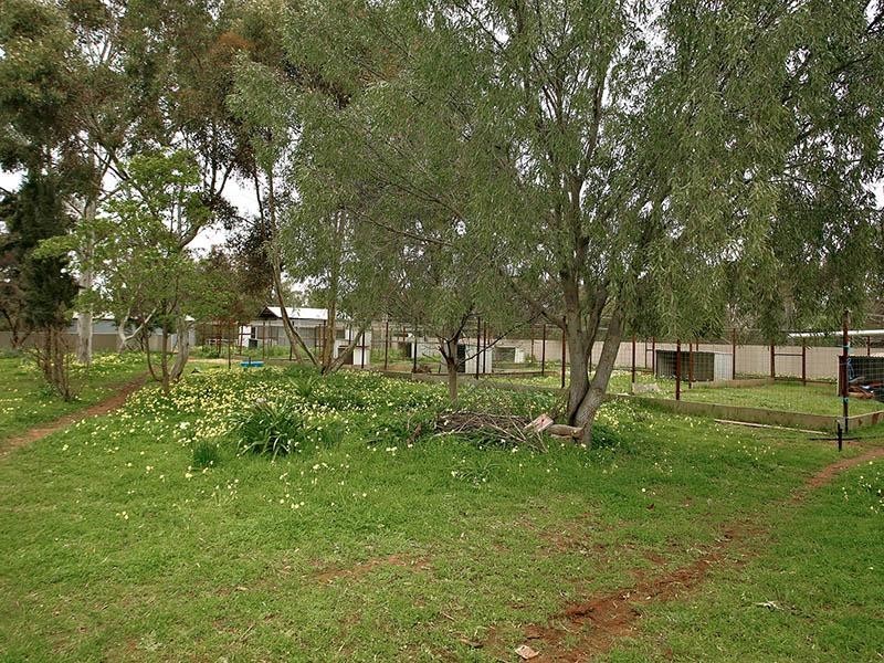 257 Hayman Road, Lewiston SA 5501