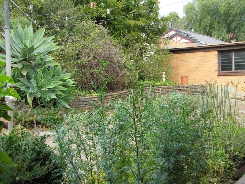 24 Duffield Street, Gawler East SA 5118