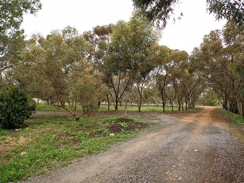 201 Dawkins Road, Lewiston SA 5501