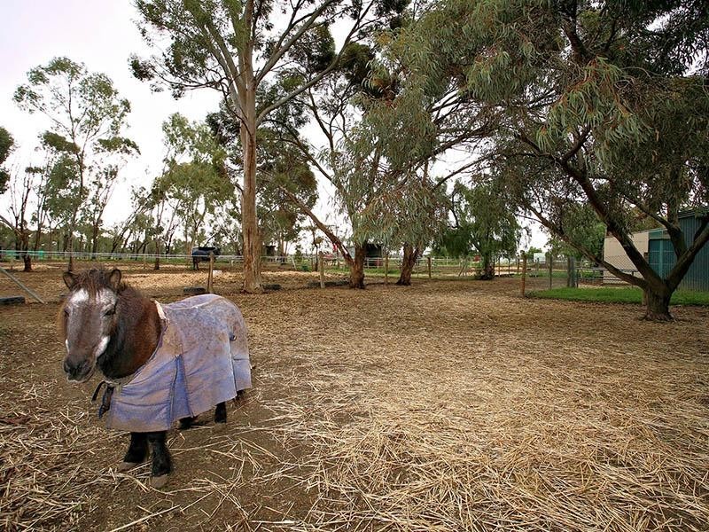 201 Dawkins Road, Lewiston SA 5501