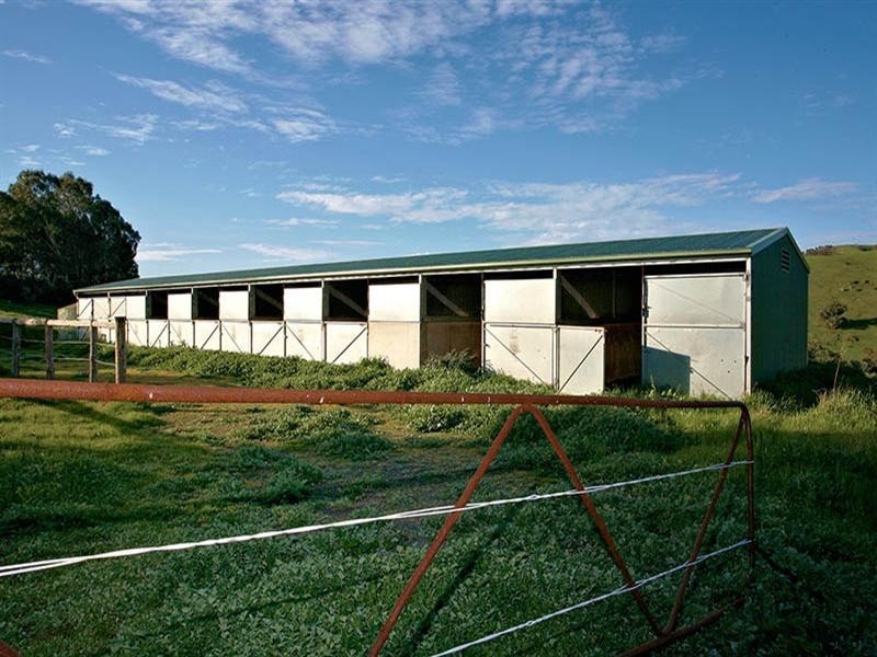 Lot 4 Menzel Road, Williamstown SA 5351