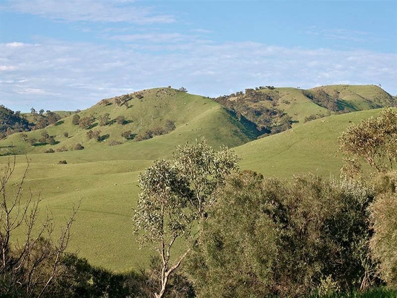 Lot 4 Menzel Road, Williamstown SA 5351