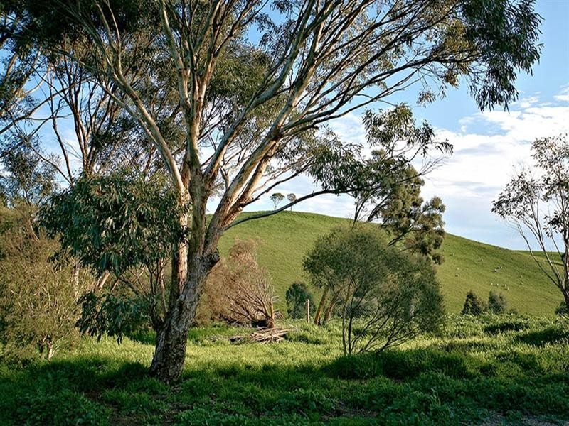 Lot 4 Menzel Road, Williamstown SA 5351