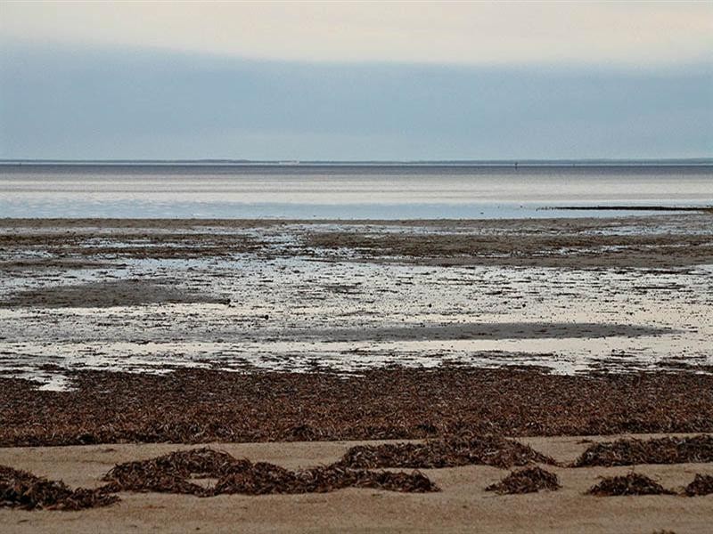 3 Prime Street, Parham SA 5501