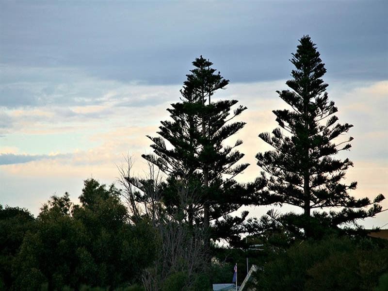 3 Prime Street, Parham SA 5501