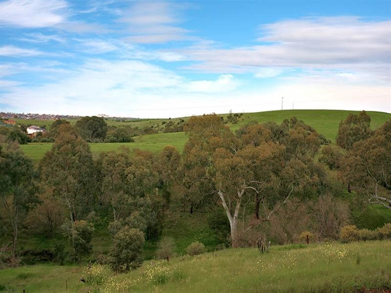 44E Bella Street, Gawler East SA 5118