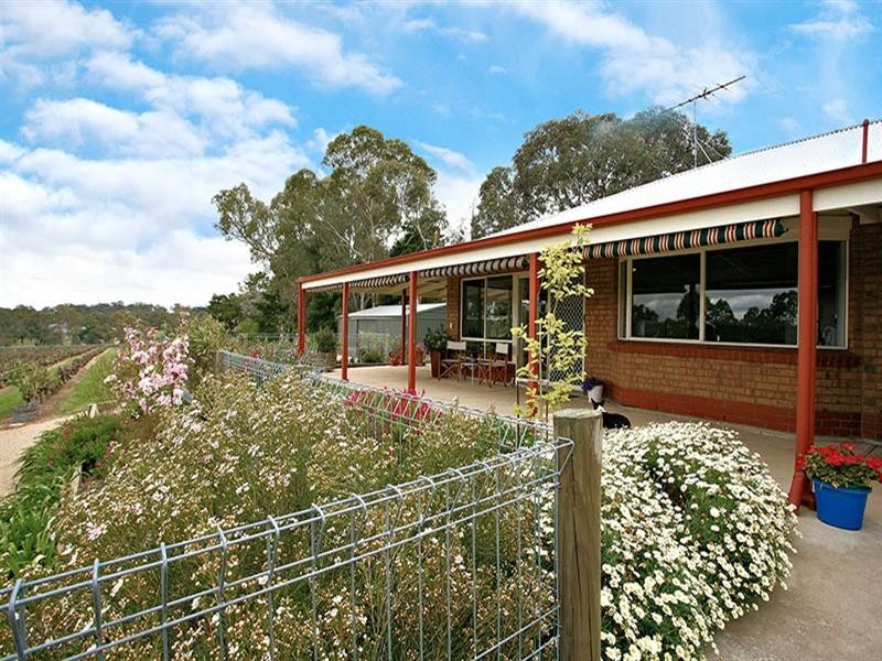 37 South Terrace, Williamstown SA 5351