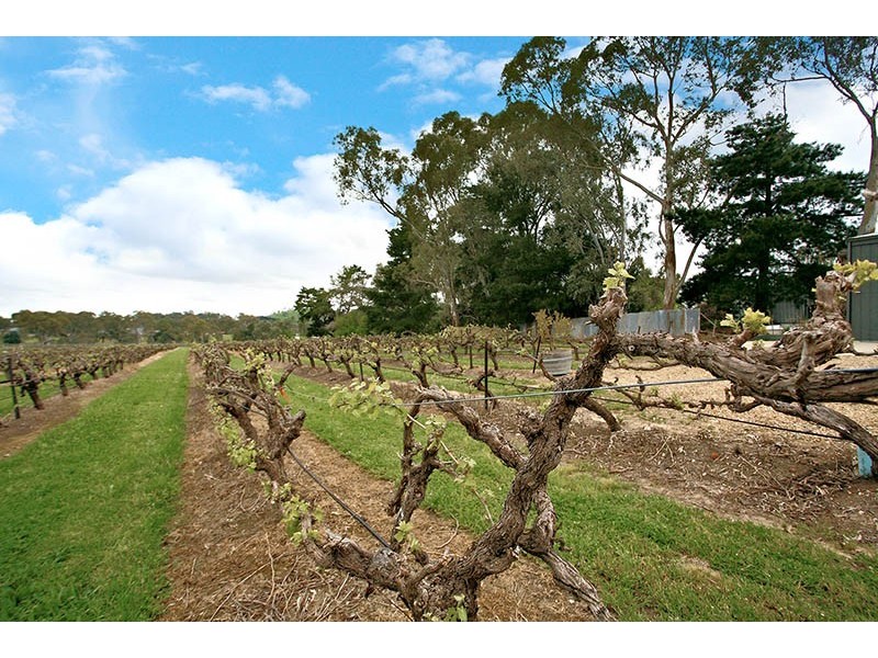 37 South Terrace, Williamstown SA 5351