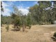 Lot 50 Needles Road, Williamstown SA 5351