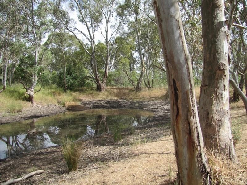 Lot 50 Needles Road, Williamstown SA 5351