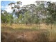 Lot 50 Needles Road, Williamstown SA 5351