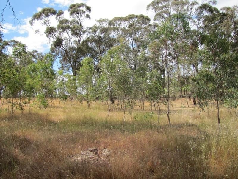 Lot 50 Needles Road, Williamstown SA 5351