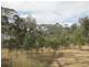 Lot 50 Needles Road, Williamstown SA 5351