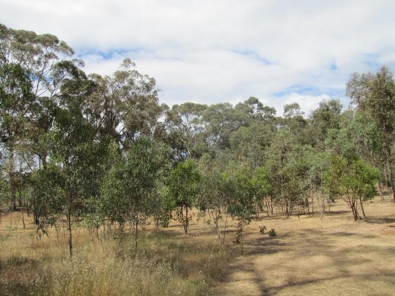 Lot 50 Needles Road, Williamstown SA 5351