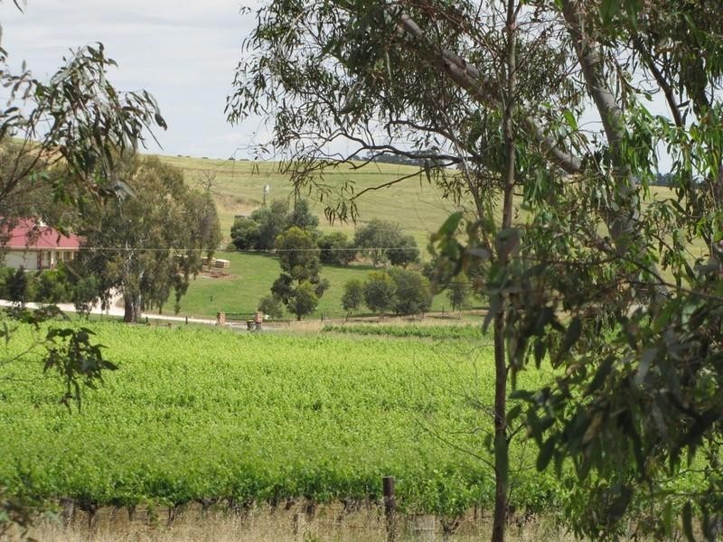 Lot 50 Needles Road, Williamstown SA 5351