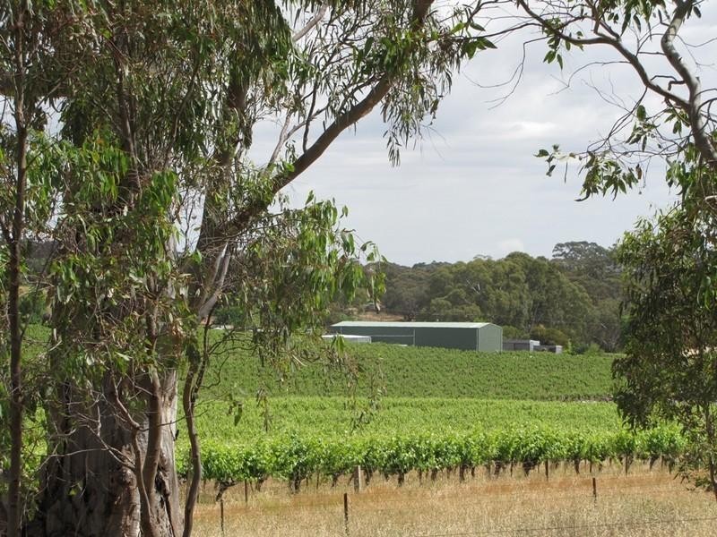 Lot 50 Needles Road, Williamstown SA 5351