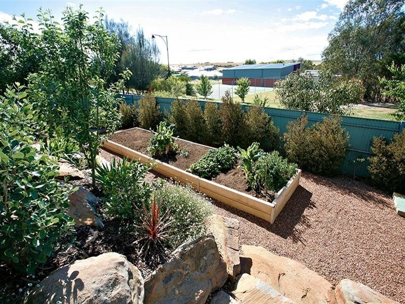 11 Shrike Place, Hewett SA 5118