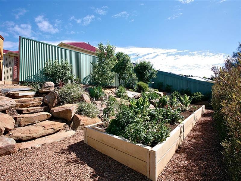 11 Shrike Place, Hewett SA 5118