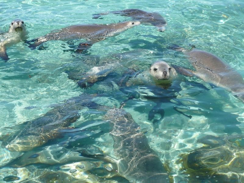 Caravan Park Tumby Terrace, Tumby Bay SA 5605