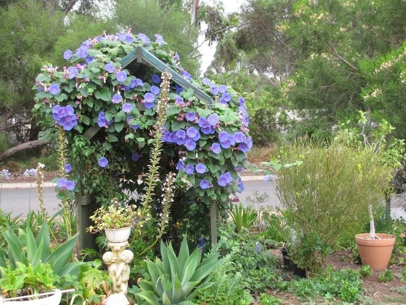 3 Harding Avenue, Willaston SA 5118