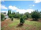 Lot 460 Stockwell Road, Light Pass SA 5355
