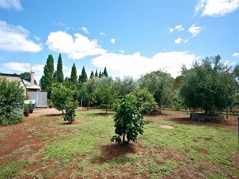 Lot 460 Stockwell Road, Light Pass SA 5355