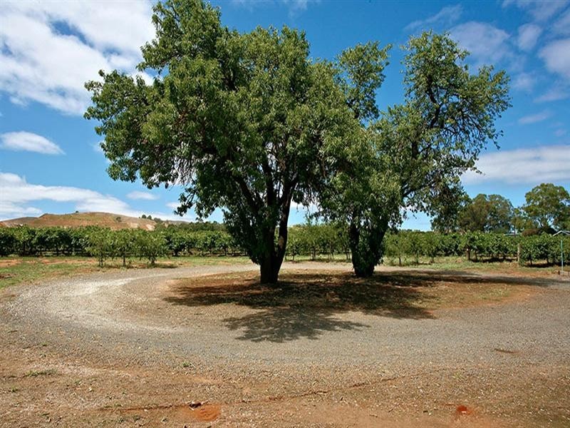 Lot 460 Stockwell Road, Light Pass SA 5355