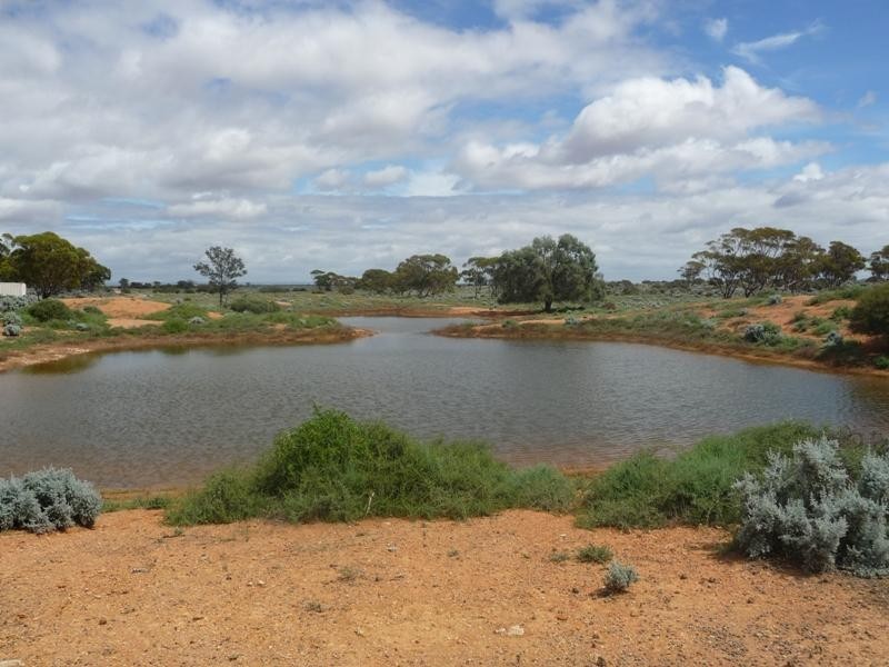 Sec 36 Thiele Highway, Mount Mary SA 5374